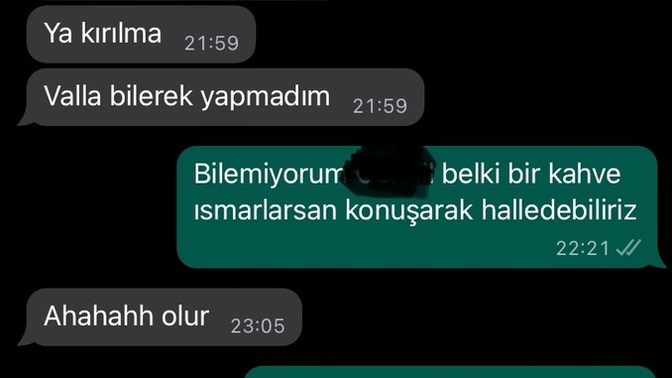 Hoşlandığım kıza imalı olarak yazdığım son kısım sizce gereksiz mi olmuş?