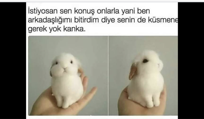 🥹