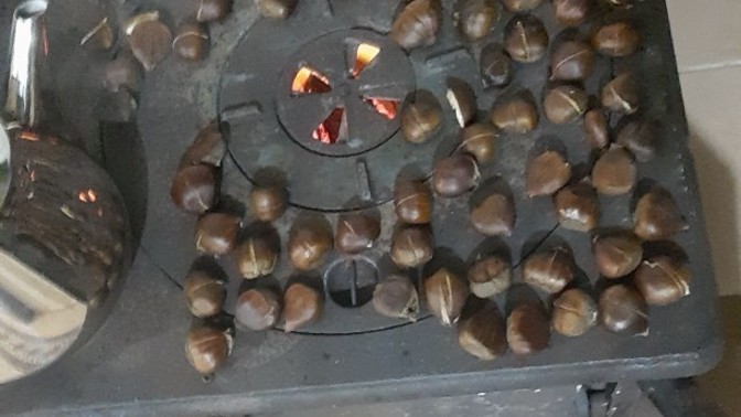 En son ne zaman kestane yediniz?