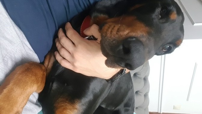 Birisi karşına geçip çok çirkinsin dese nasıl bir tepki verirdin?