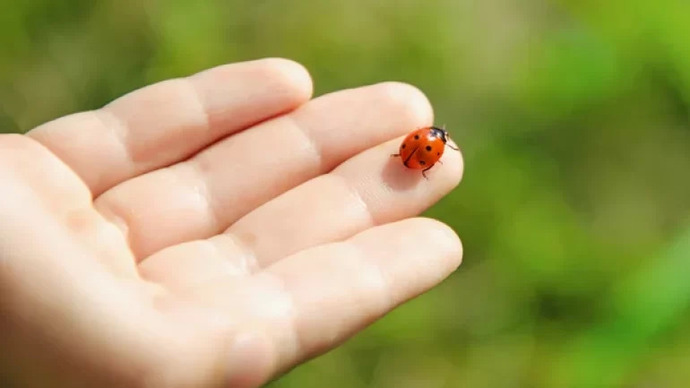 Şans ve uğur getirdiğine inandığınız bir eşyanız var mı?