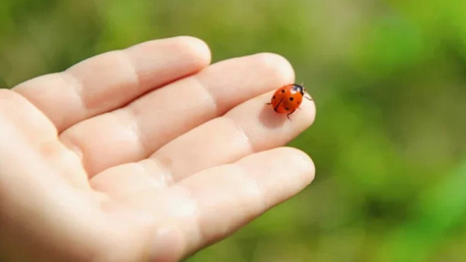 Şans ve uğur getirdiğine inandığınız bir eşyanız var mı?