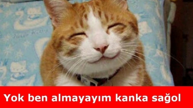 Evlilik sorularını savuşturmak için ne diyorsunuz?