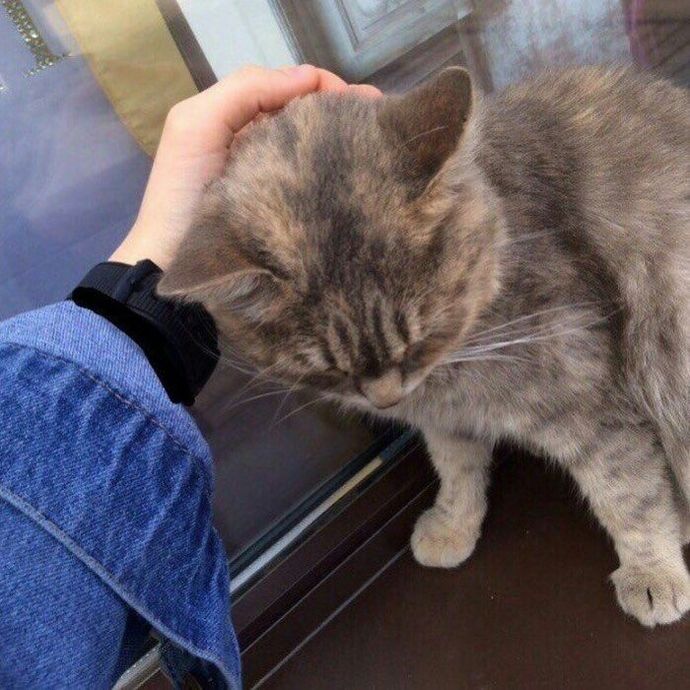 En güzel zaafım sensin sanırım kedicik 😻🥰