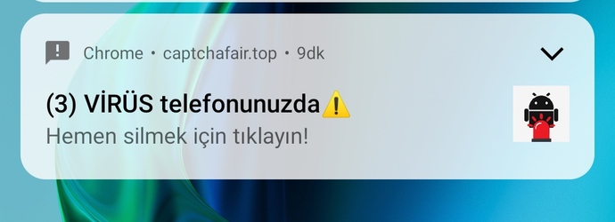Telefonumda bu çıktı. Bunun anlamı ne?