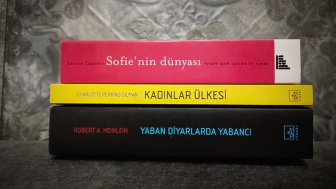 Aynı anda birden fazla kitap okuyabilir misiniz?