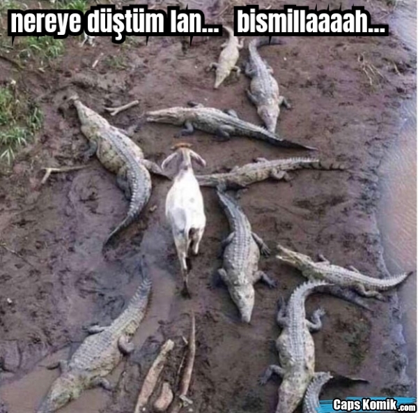Kendini en son ne zaman mutlu hissettin?