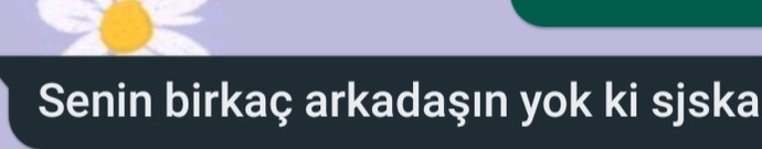 Beni sevdiğini söylüyor ama üzüldüğüm konularla ilgili böyle şeyler yazıyor. Normal mi?