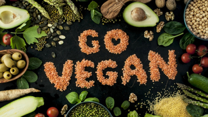 Vegan yaşam tarzı hakkındaki düşünceleriniz nelerdir?