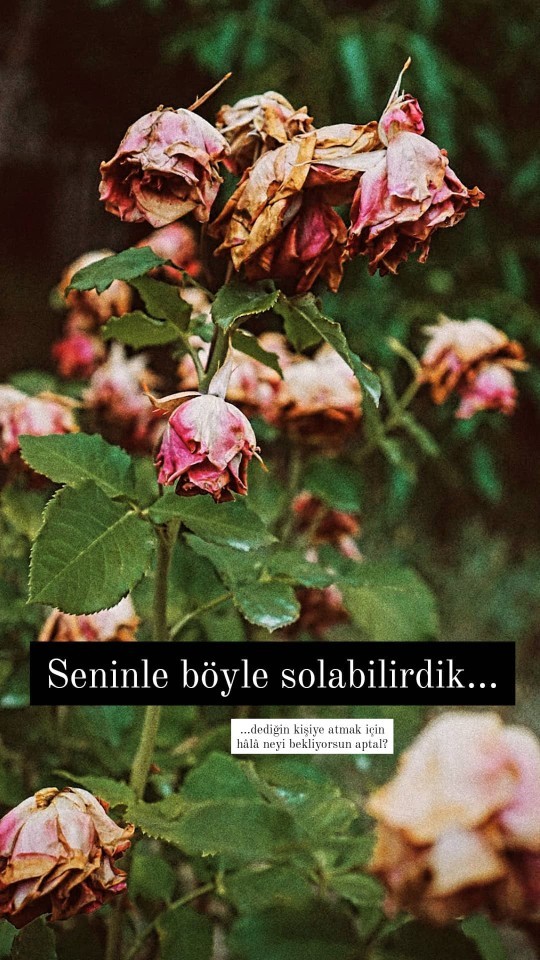Seninle böyle solabilirdik dediğiniz biri var mı?