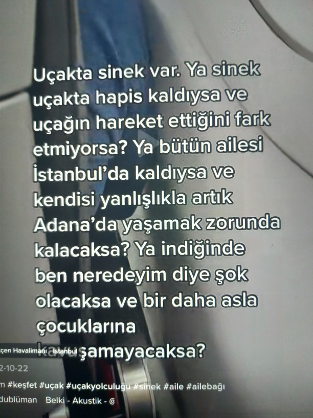 Siz de ulaşım araçlarıyla yanlışlıkla başka bir yere giden sineklere üzülüyor musunuz?