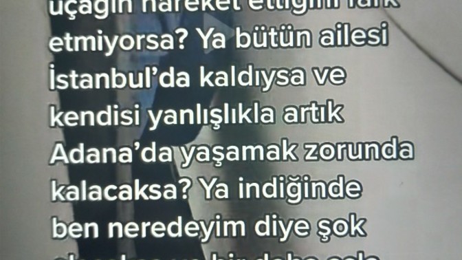 Siz de ulaşım araçlarıyla yanlışlıkla başka bir yere giden sineklere üzülüyor musunuz?