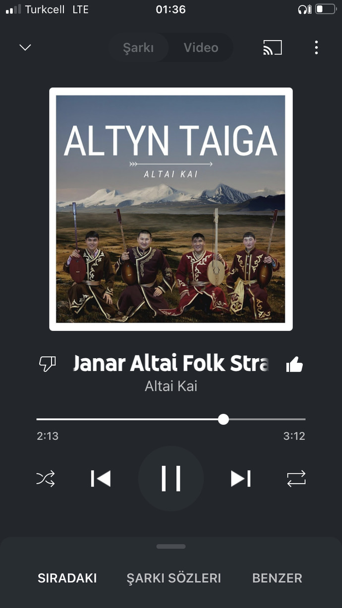 Şarkı önerisii verir misiniz? aynı şeyi dinlemekten sıkıldım?