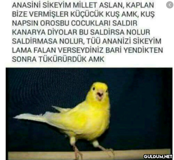 Galatasaray'ın 3 gol attığı maçtan sonra Fenerbahçe'ye göndermeleri 😂 hakkında ne düşünüyorsunuz?