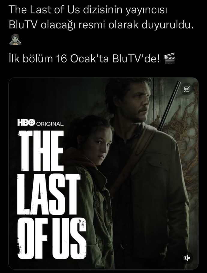 Kaç farklı dizi/film platformuna üyesin?