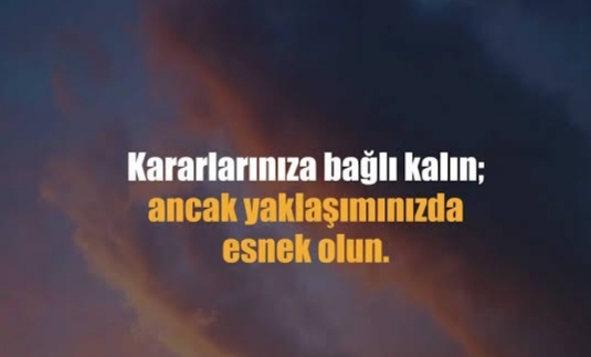 Ani kararlar alır mısın?
