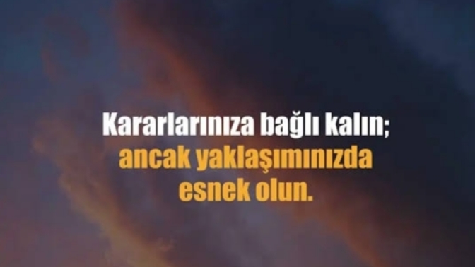 Ani kararlar alır mısın?