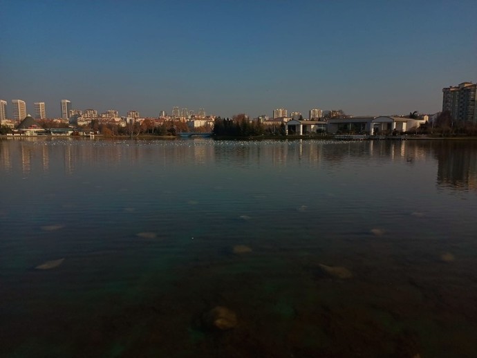Bu resime (Ay parçası burayın ) müziği konur mu?