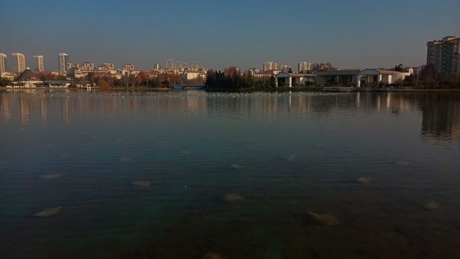 Bu resime (Ay parçası burayın ) müziği konur mu?