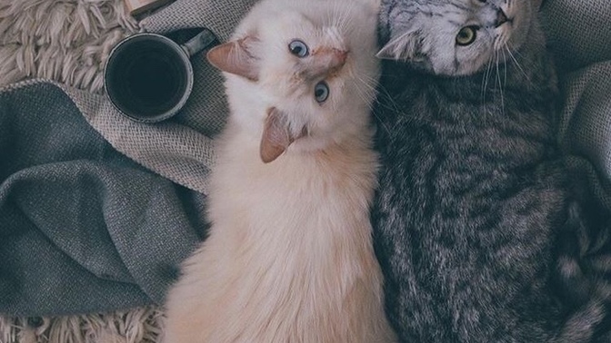 En son hangi kitabı aldınız?