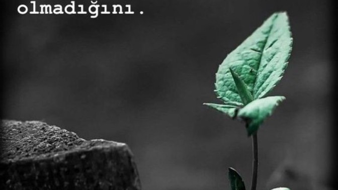Bu hayatta senin senden başka dostun var mı?