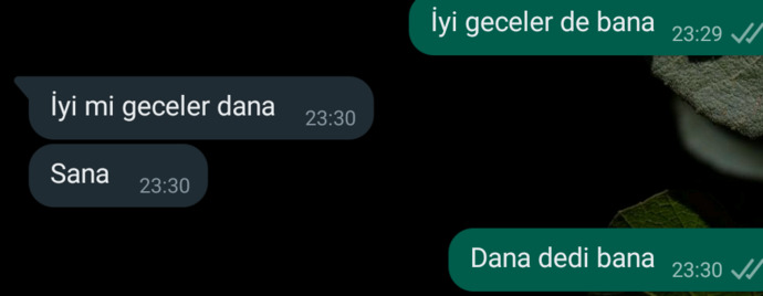 Bana dana diyerek kilolu mu demek istiyor?
