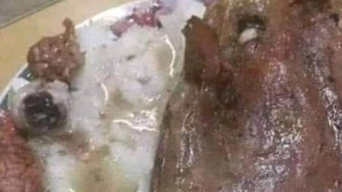 Kocam bana kendi elleriyle yemek hazırlamış nasıl sizce?