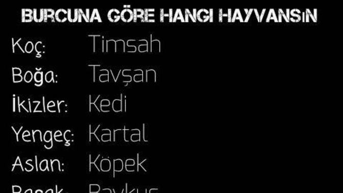 Burcuna göre hangi hayvansın?