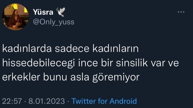 Kadın, kadının kurdu mudur?