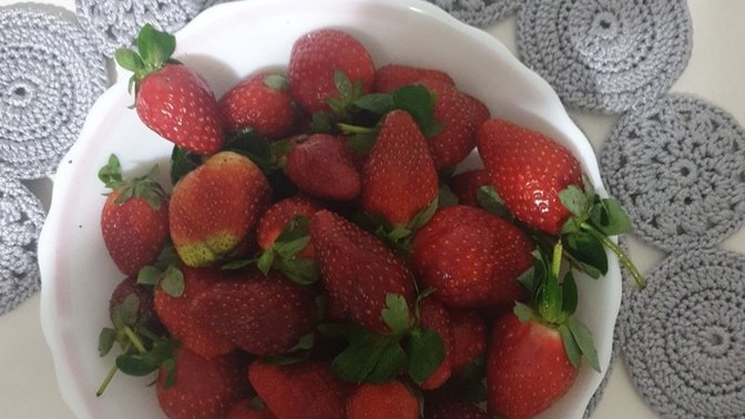 En son aldığınız hediye ne idi?