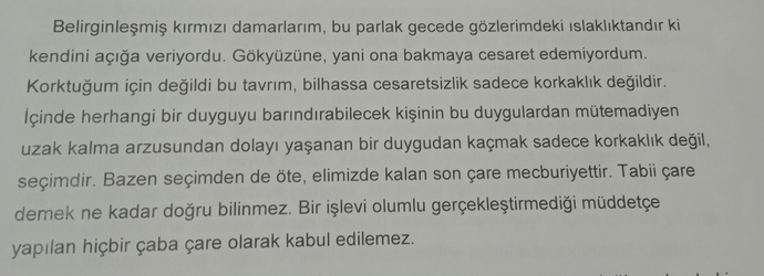 Çok da küçük bir kesit değil aslında..