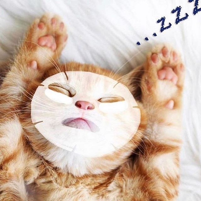 💤