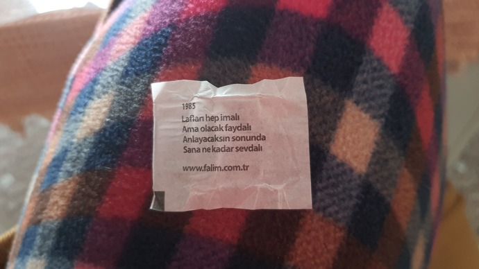z kusagı kendini ifade etmeye calisirken