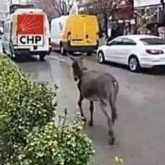 Türkiye nin en büyük sorunu ne?