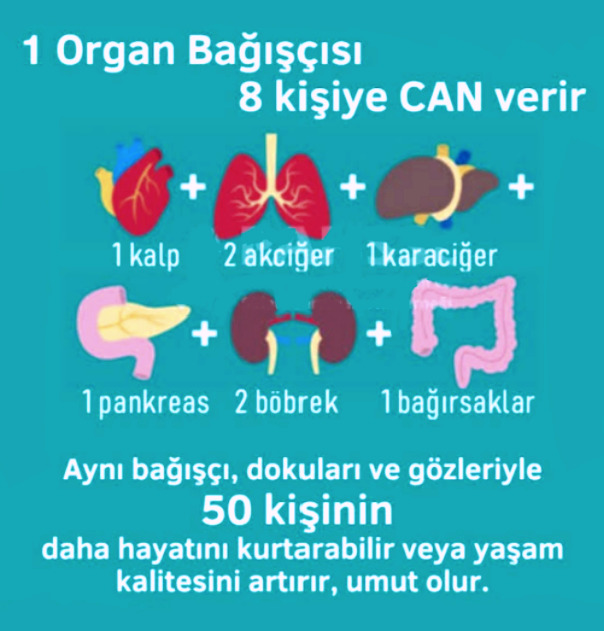 Organ bağışı yaptınız mı? Yaparmısınız?