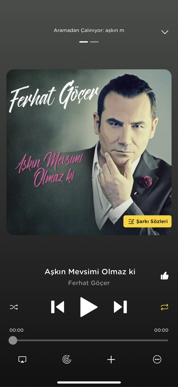 Şu an telefonunuzda hangi şarkı çalıyor?