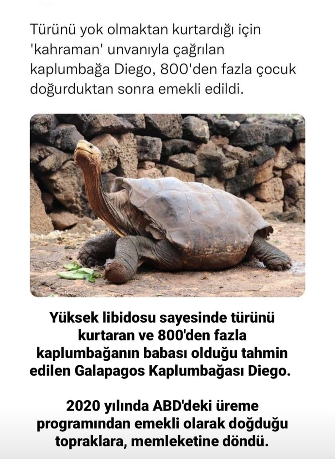 Seks ve libidonun emeklilik yaşı kaçtır 😄?