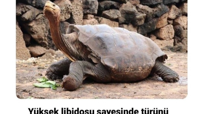 Seks ve libidonun emeklilik yaşı kaçtır 😄?