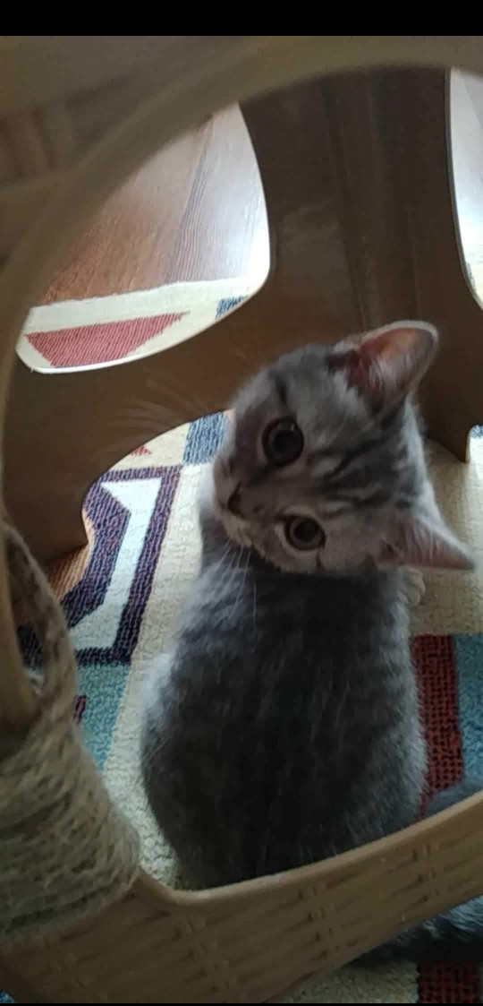 Şu dünyada en tatlı en güzel şey ne sizce?