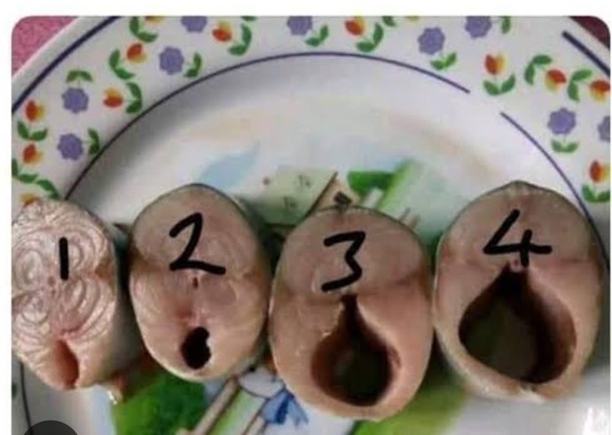 Bu görsel ne anlama geliyor?