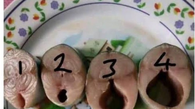 Bu görsel ne anlama geliyor?