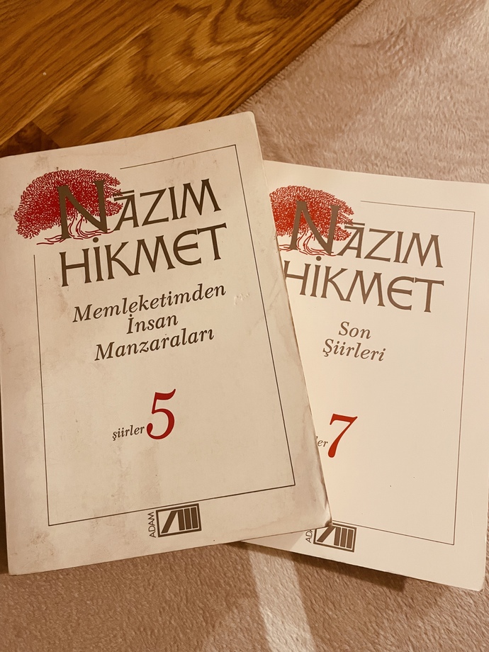 "Ne güzel şey, seni hatırlamak" Nazım Hikmet?