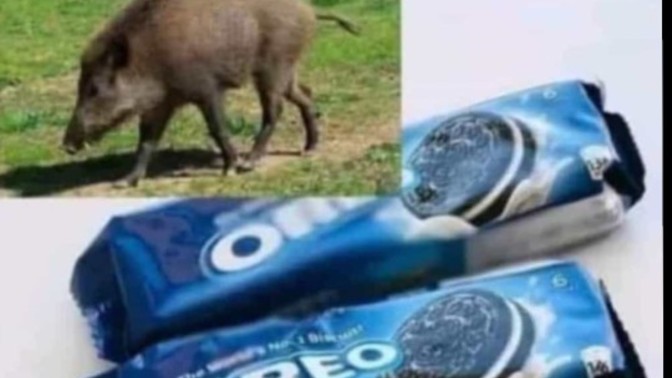 Arkadaşlar araniz da oreo seven yiyen var mı ?