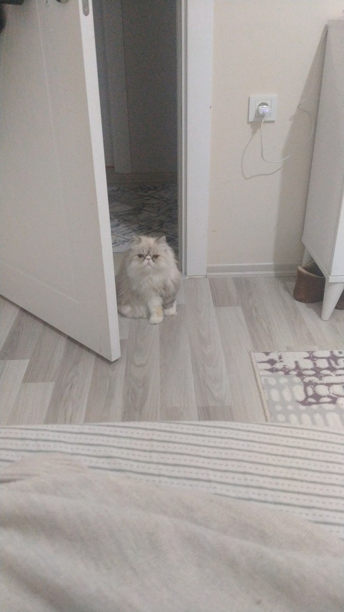 Görselini en iyi ifade eden kısa notunu buraya ekleyebilirsin..
