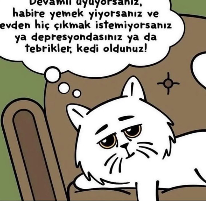 Depresyonda mısınız yoksa siz de mi kedi oldunuz?