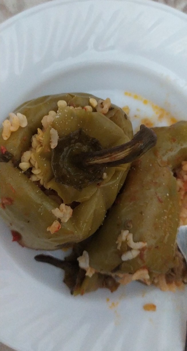 Nasıl olmuş yaptığım dolma?