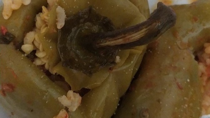 Nasıl olmuş yaptığım dolma?