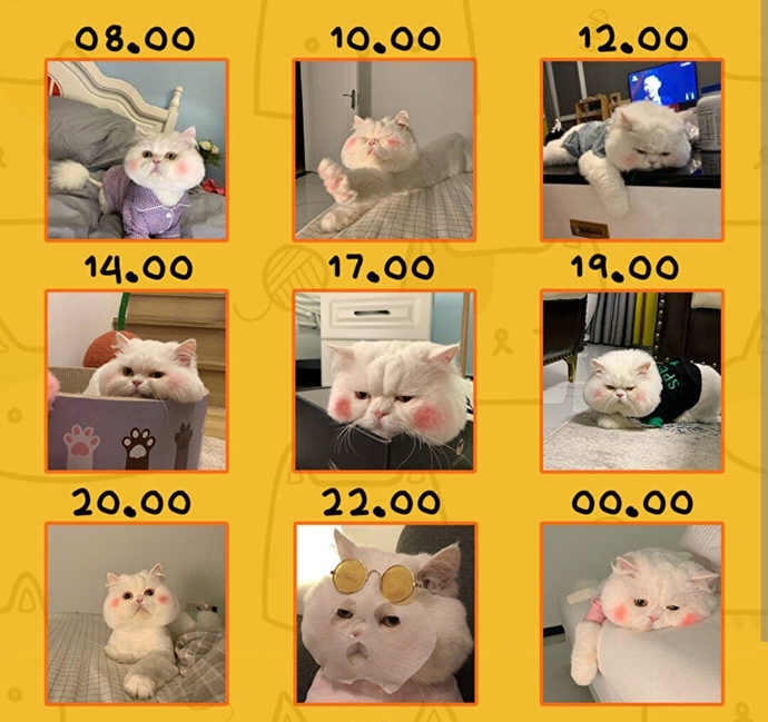 Günleriniz nasıl geçiyor, bir gününüzü özetler misin?