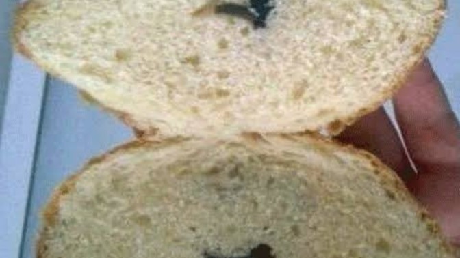 Zeytinli poğaça sever misiniz?