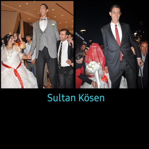 Boyunuz kaç metre ve en fazla ne kadar uzunluğa sahip olmak isterdiniz istersiniz?
